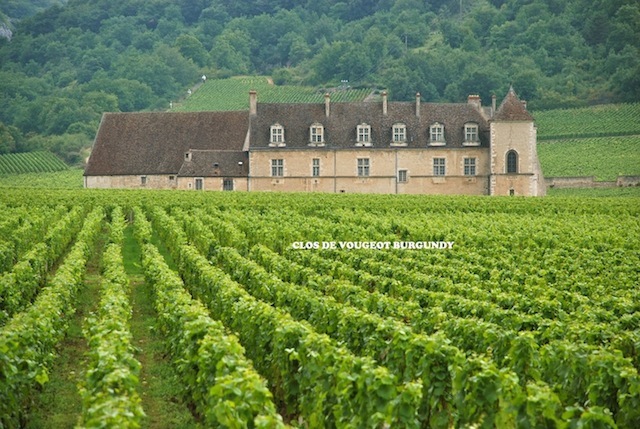 Clos de Vougeot