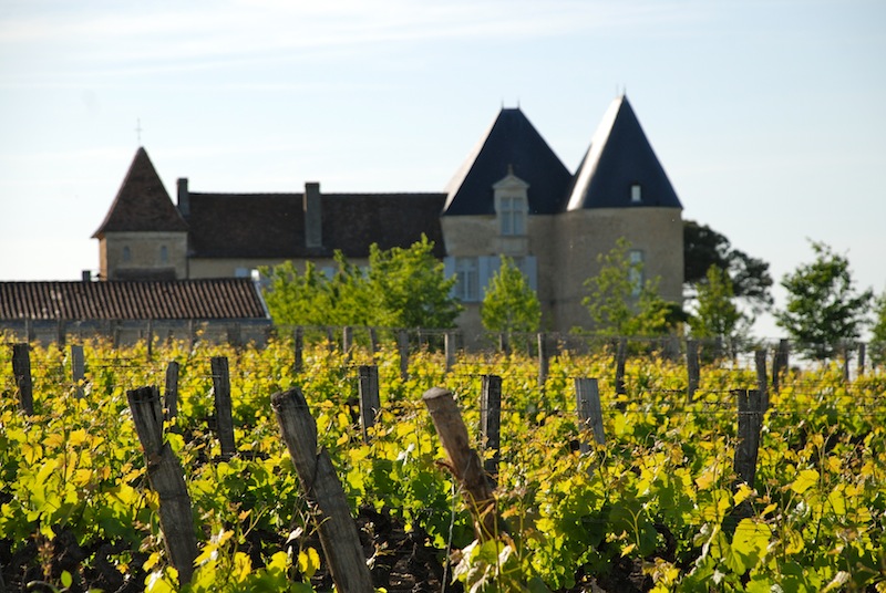 picture of Château Yquem de Beaune